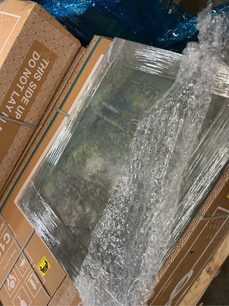 Condition photo showing item condition for Art Remedy Vintage Nature Print Canvas, 30" x 24", Gallery Wrapped, Roswell Morse Shurtleff, June, c.1910 Gallery Wrapped Wrapped Canvas 24"L x 30"W