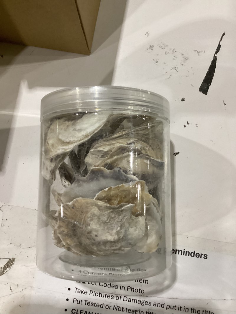 Condition photo showing Good Condition for qeqekaka 30pcs oyster shells 2"-2.5" small flat oyster shells for crafts | oyster shells for crafts, for home vase filler, xmas ornaments, diy arts and crafts sea shells