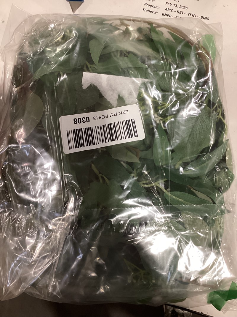 Condition photo showing Good Condition for Fake Greenery Garlands Artificial Silver Dollar Eucalyptus Garland in Grey Green and Willow Twigs Garland Intertwined Together for Rustic Wedding Arch Swag Doorways Table Runner Decoration