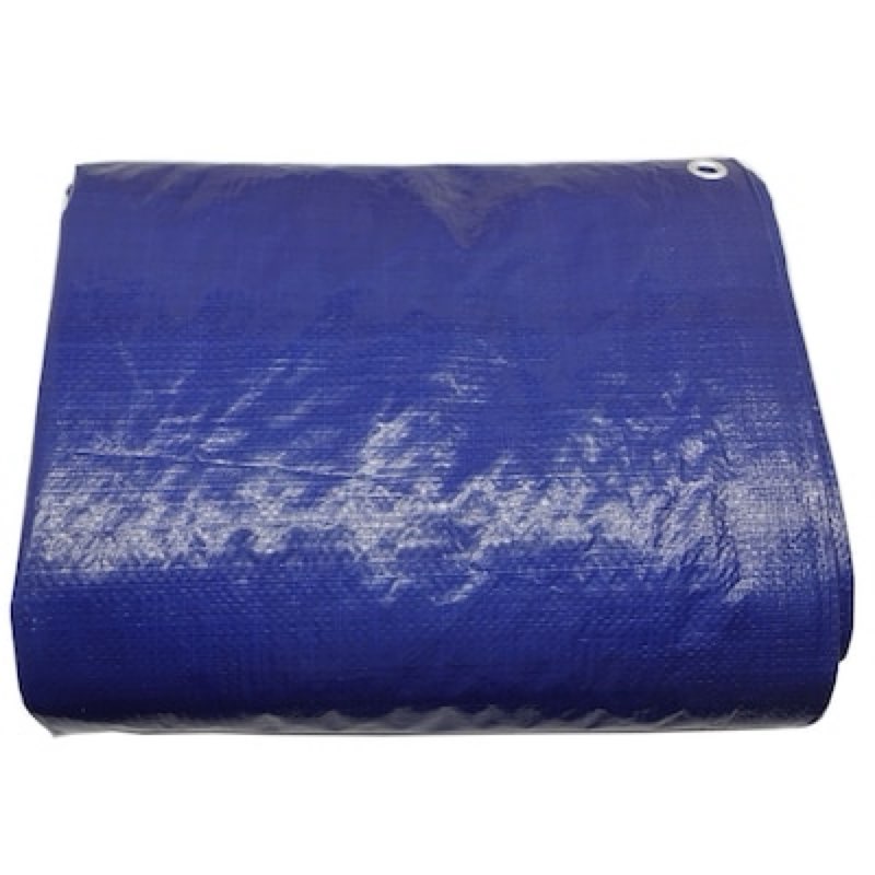 project source 20-ft x 30-ft blue waterproof standard polyethylene 5-mil tarp
