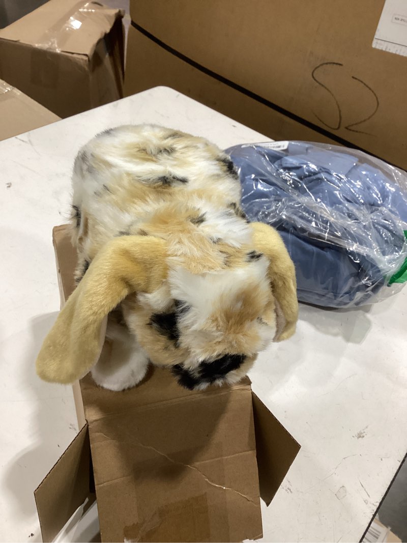 Condition photo showing Good Condition for christmas dutch lop eared rabbit ornament cute stuffed animal fluffy rabbit animal realistic bunny cute stuffed for xmas gift bedtime snuggling companion friends 9.8 inches(soft,1 pcs) soft 1
