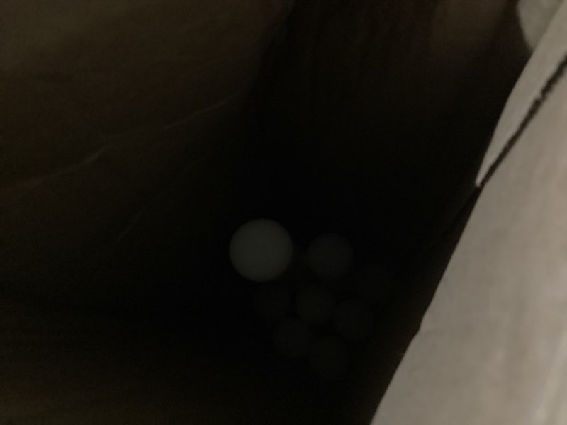https://lotting-media.assets.bidfta.com/lotting_83b24116-440e-4ff2-8585-6f442abf439d