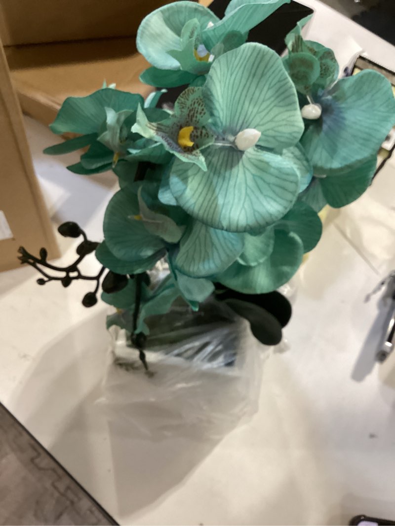 Condition photo showing Good Condition for 15 inches tall artificial silk phalaenopsis orchid flower plant pot teal arrangements (golden blue)