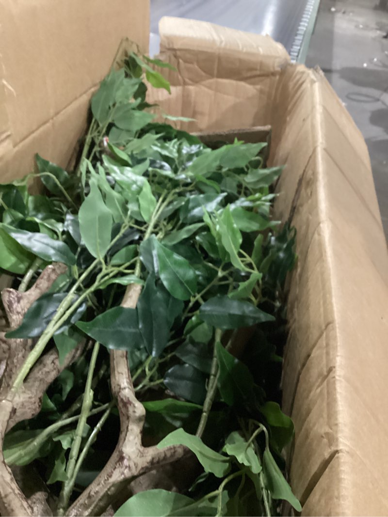 Condition photo showing Good Condition for artificial ficus tree 7ft(84in) tall large faux plants with realistic leaves and trunks, fake floor potted artificial trees for home office living room indoor outdoor decor (7feet,1pack) 1 7ft