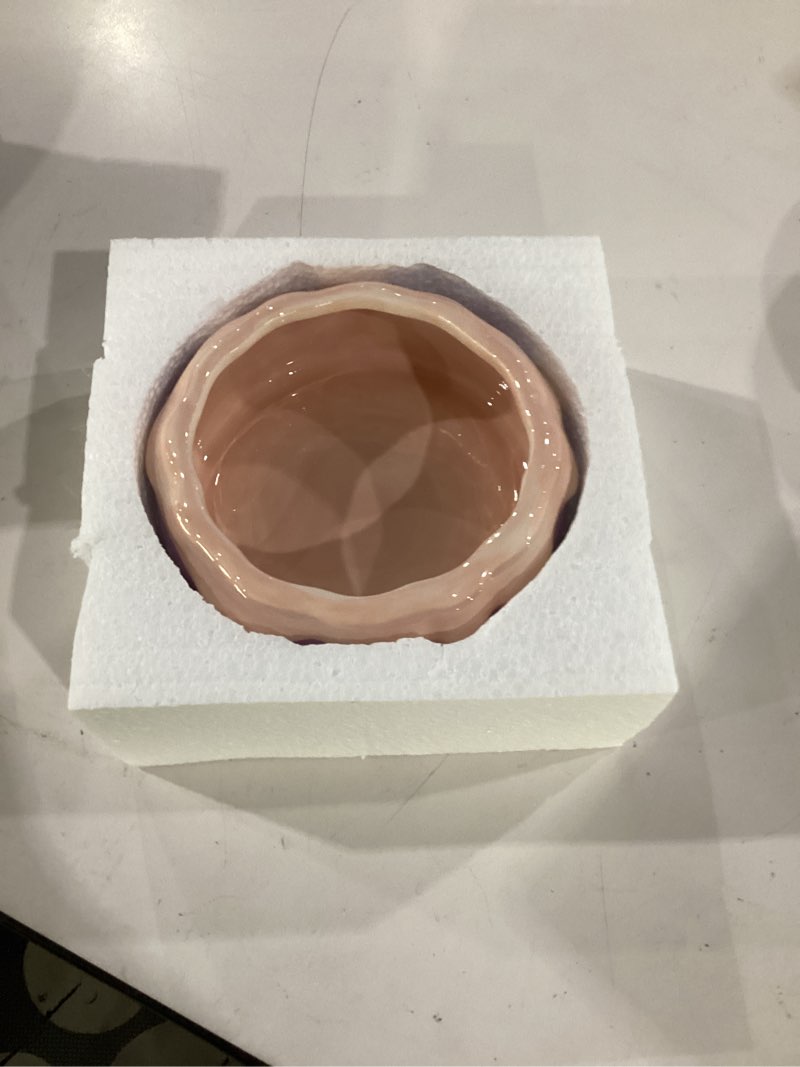 Condition photo showing Good Condition for guinea pig food bowl hamster ceramic water dish anti-spill & prevent tipping rabbit feeding bowl for guinea pig, syrian hamster, bunny, rat, chinchilla, squirrel, small animals (pink+purple)