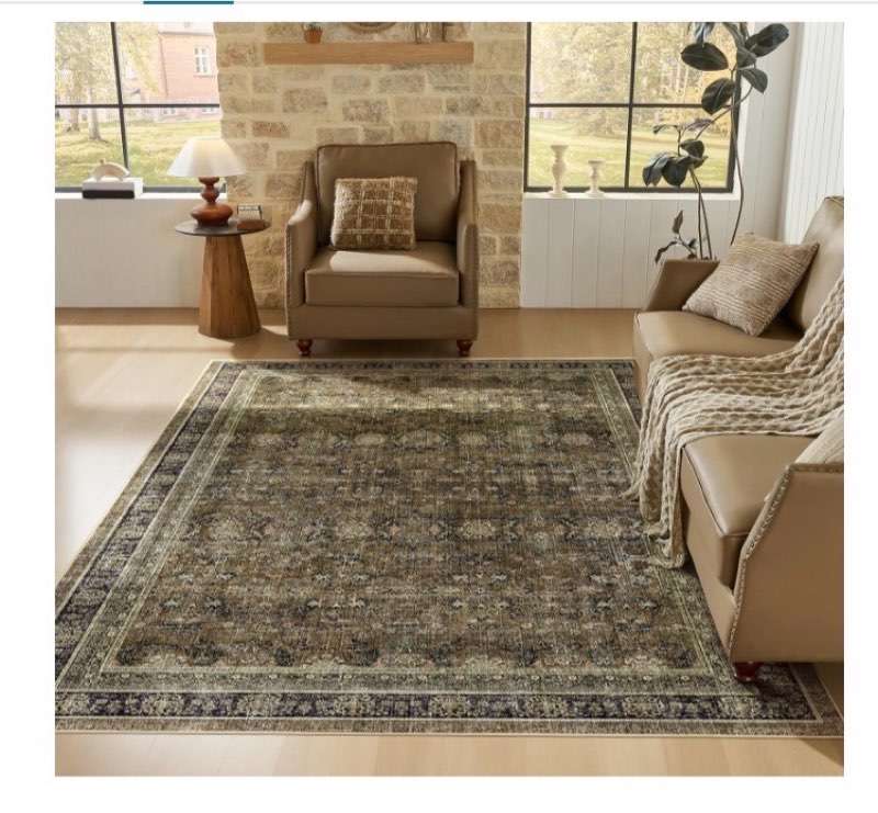 WITSHOCK 8x10 Large Rugs for Living Room - Boho Modern Vintage Moody Retro Antique Neutral - Low Pil