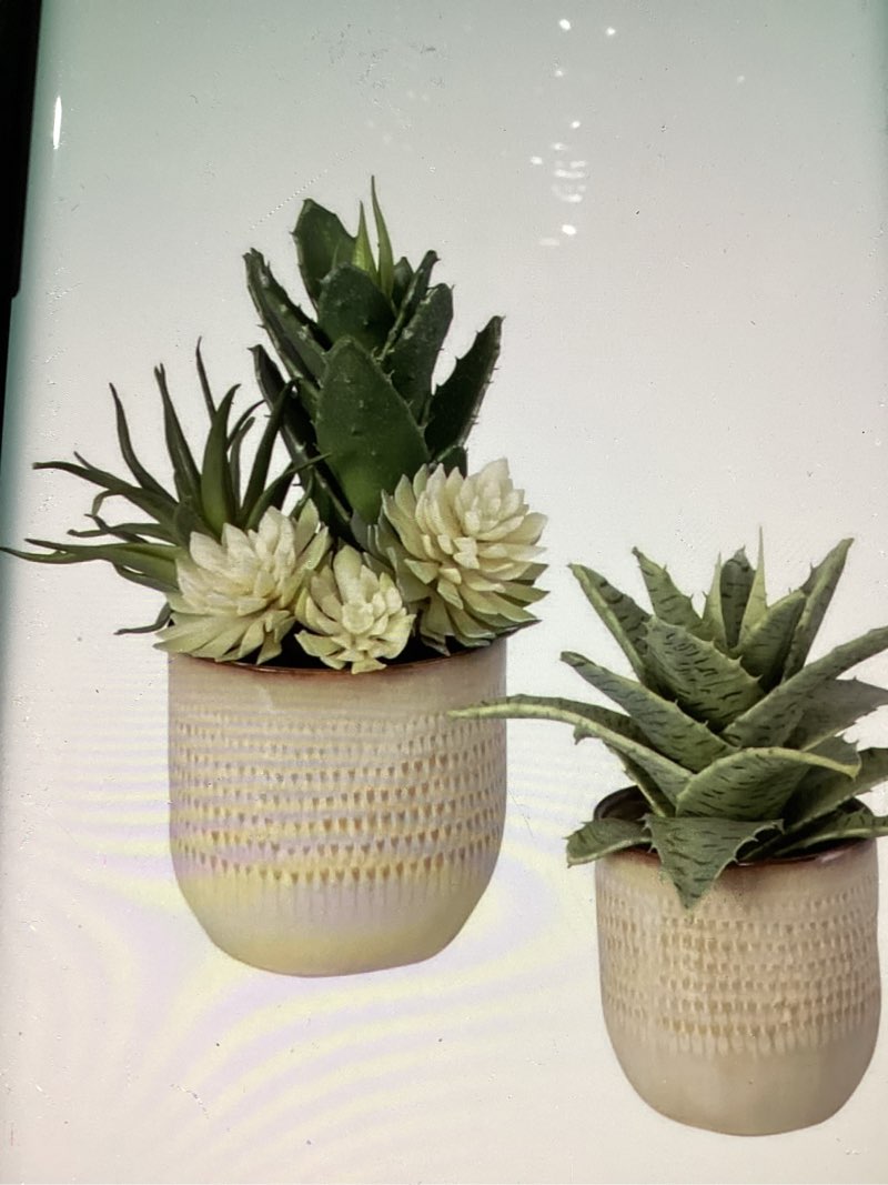 Uttermost 60208 Seaside Scculents Planter set of two 12” Tall and 9” Wide *This set is Incomplete *