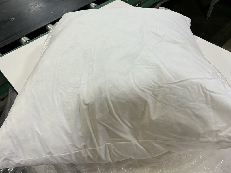 Condition photo showing Good Condition for premium feather pillow insert (26x26)