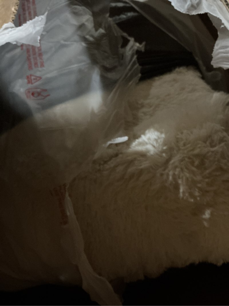 Condition photo showing Good Condition for (Similar to) Latepis White Sheepskin Rug 2x3 Faux Fur Sheepskin Rug for Living Room Fluffy Washable Rugs for Bedroom Luxury Room Decor Furry Rugs Rectangle 2' x 3' (Rectangular) White