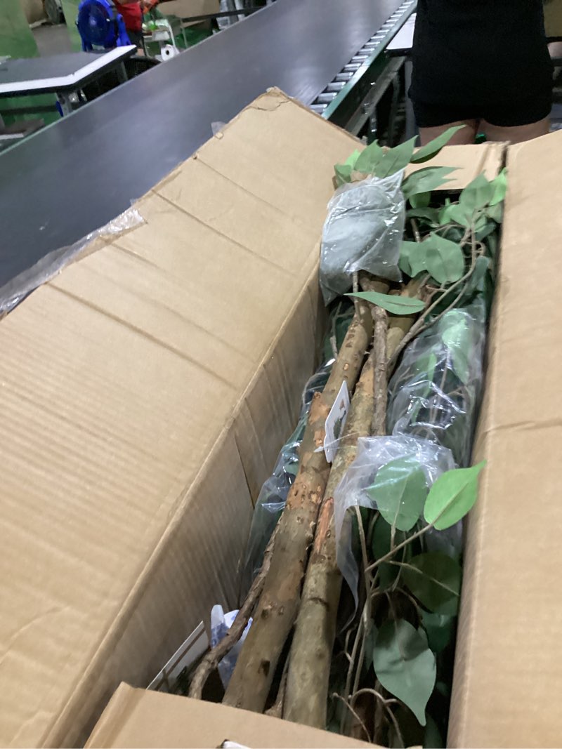 Condition photo showing Good Condition for 6.2ft ficus artificial trees with 3 natural curved trunks, 74" tall lush faux tree for home decor indoor, green lifelike fake ficus tree artificial plants 6ft 2in 1