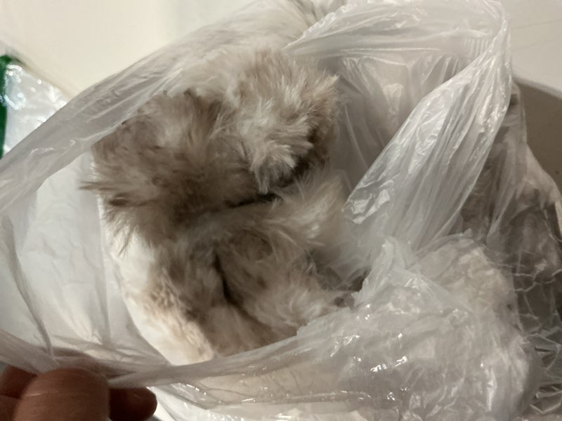 Condition photo showing Good Condition for coova faux fur throw blanket for couch, cozy soft and fuzzy plush rabbit fur bubble blanket for sofa bedroom living room, 60x80 inches tie dye brown tie dye brown 60“x80”