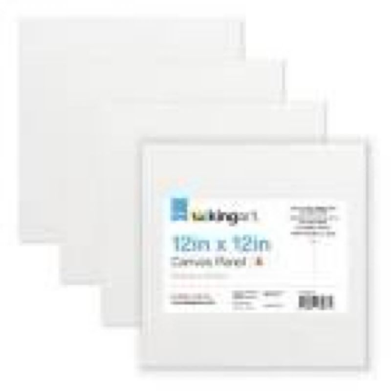 12x12 canvas panel 4pack