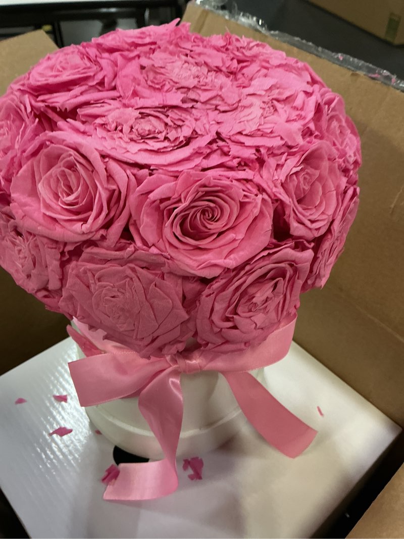 Condition photo showing As Is for preserved roses dome in a box, forever real roses decor, eternal flowers for delivery prime, best gifts birthday, wedding, anniversary, mother's day, christmas for her, 18-pieces (pink) pink dome 18 roses dome