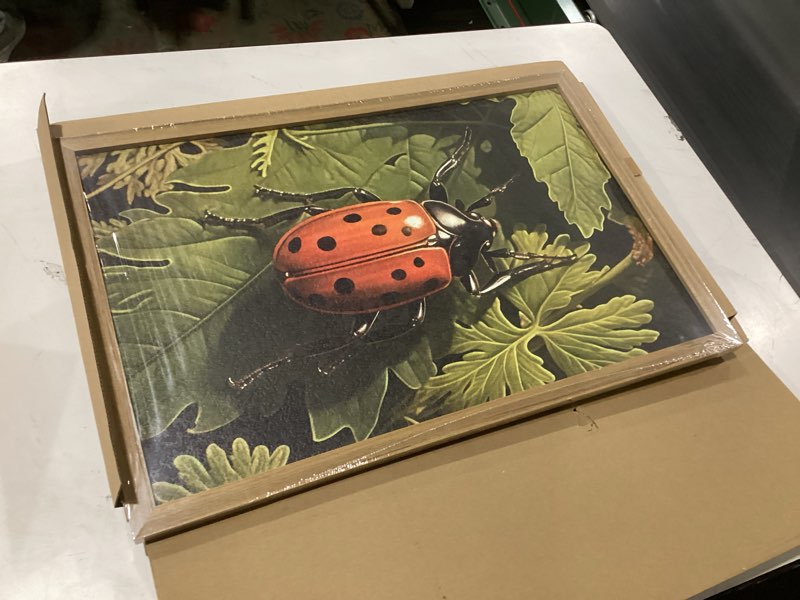 Condition photo showing New/Like New for SAMHOU Framed Vintage Beetle Wall Art, 3D Textured Hand Drawn Sandstone Drawn Bug Artwork, Nature Botanical Wall Decor Painting, Rustic Woodland Cottagecore Oil Paintings 16''x24'' Colorful Beetle Framed 24"L x 16"W