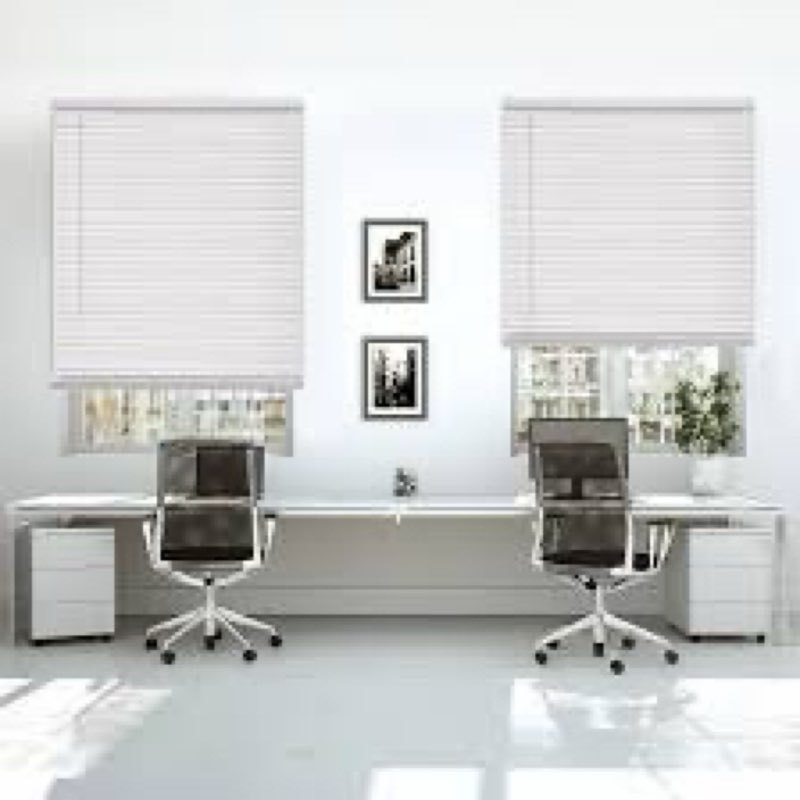 DEZ FURNISHINGS Cordless 1" Mini Blind, 30" W x 48" H, Pearl White