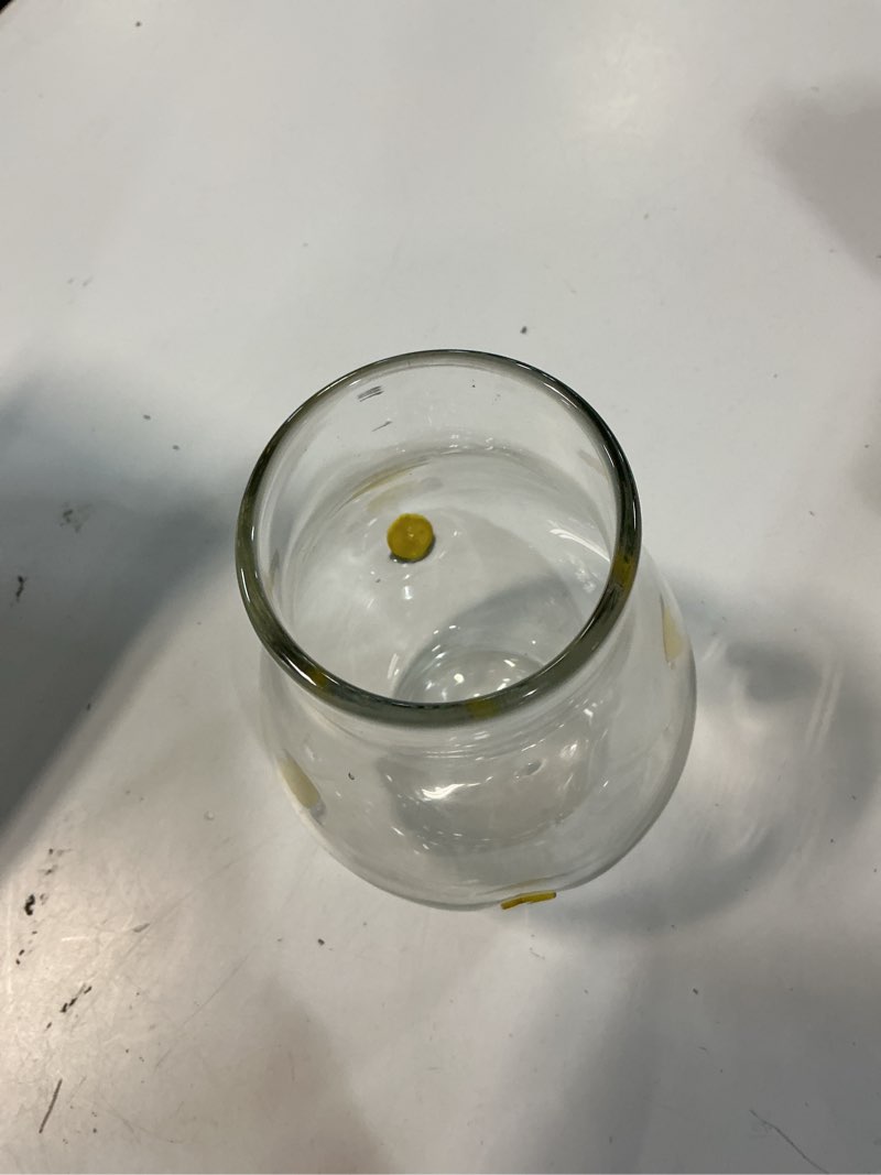 Condition photo showing Good Condition for ferrochef 1 pcs lemon icon glasses flower vase, lemon flower vase for centerpiece living room kitche