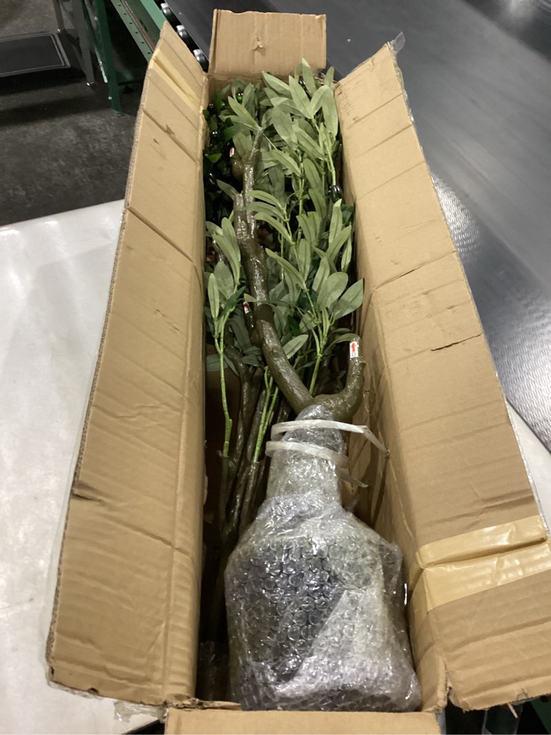 Condition photo showing New/Like New for Faux Olive Tree 5.5ft(66in) Tall Artificial Plant Indoor Decor Large Realistic Potted Fake Modern Greenery with Natural Wood Branches and Green Leaves for Home Living Room,Bedroom,Office Decor. Olive Tree(1) 5.5ft