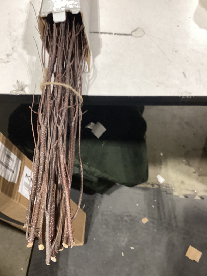 GS Foliage Branches for Vase, 3'–4' Natural Birch Tree Branches for Decoration, Bundle of 10 Tall De