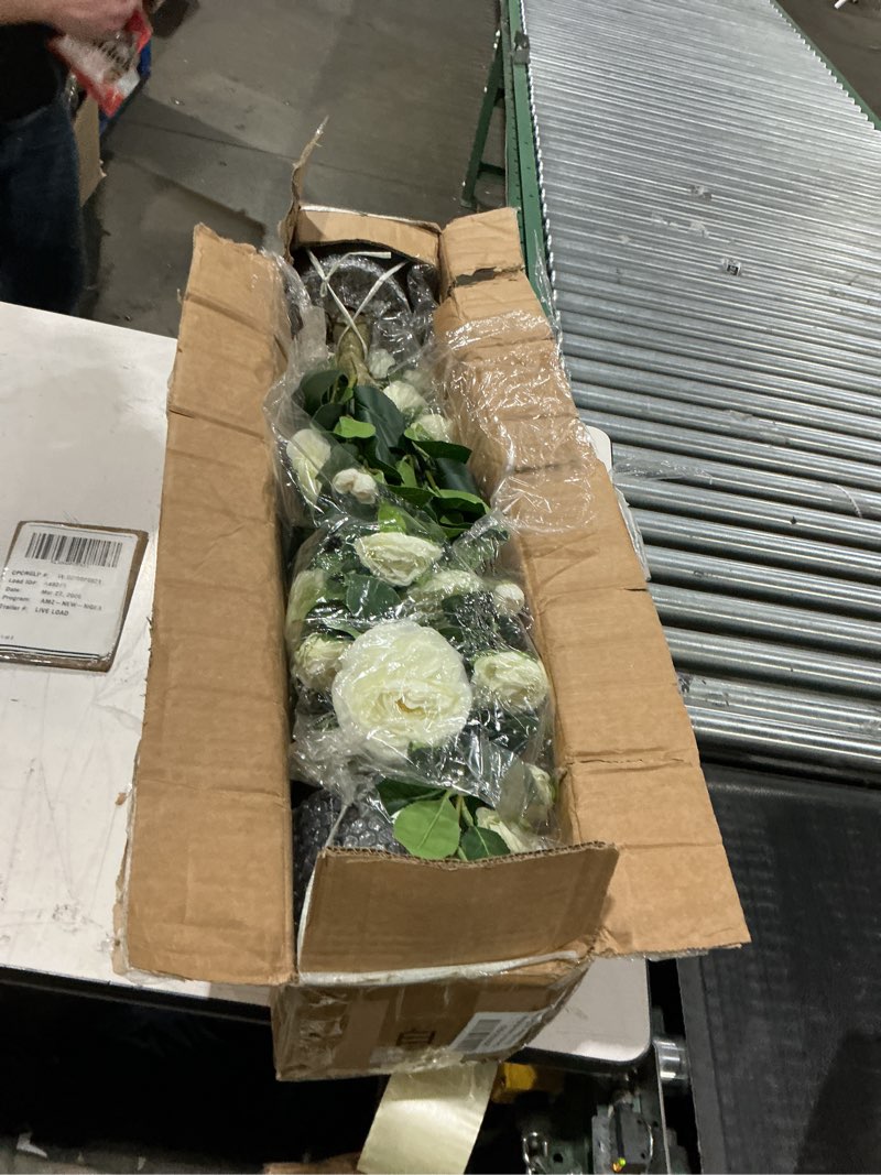 Condition photo showing Good Condition for hananona 2 pcs artificial camellia trees faux camellia plant in pot with flowers indoor plants for spring home decor outdoor porch front door decor (white, m) white medium