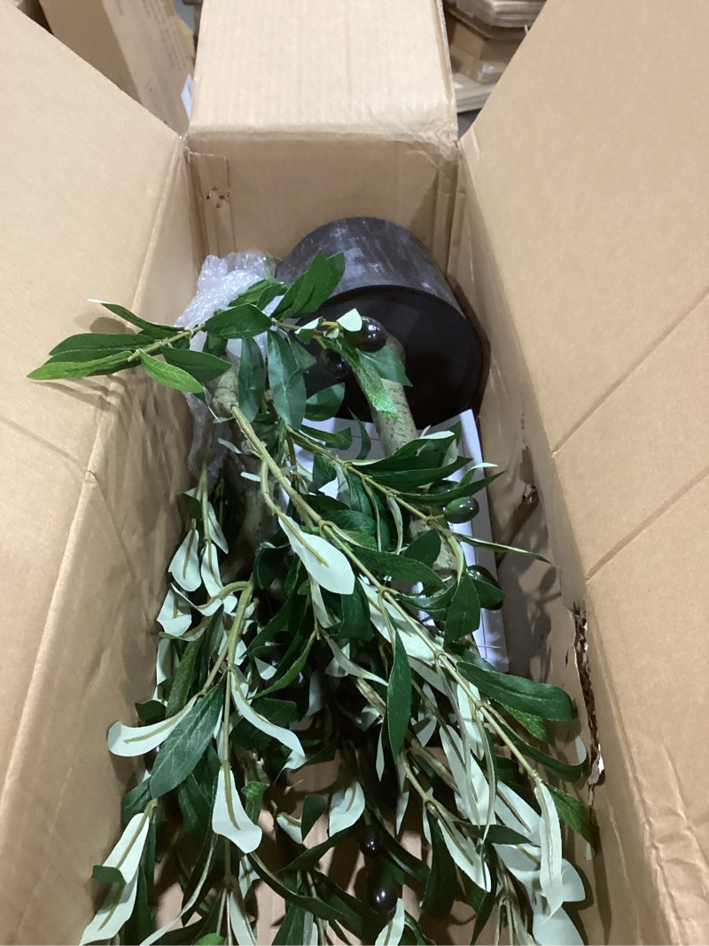 Condition photo showing As Is for artificial olive tree in pot, 5.5 ft tall faux olive tree for home indoor decor, large floor plant with textured leaves fruits, realistic wood-grain trunk, fake plant for living room bedroom office olive black 5.5ft