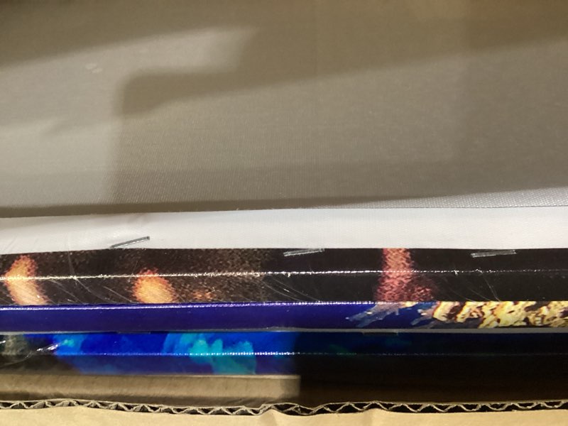 Condition photo showing Good Condition for Blue Canvas Painting Coral Reef and Tropical Fish Wall Art Contemporary Pictures House Decor Multi P