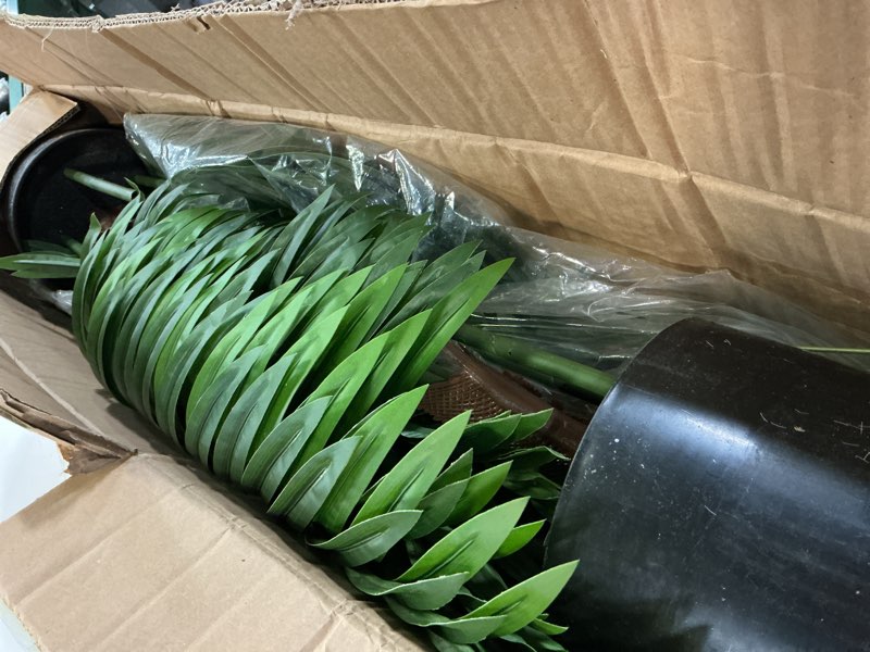 Condition photo showing Good Condition for jexine 2 pack artificial palm trees 3ft, fake plants fake trees artificial areca palm plants for outdoor indoor faux tree in pot for pool home decor office housewarming gift modern decoration 2 3 feet