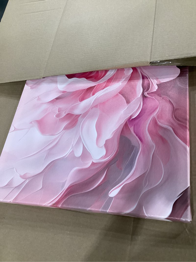 Condition photo showing Good Condition for prepeyssee floral wall art for living room pink wall art large botanical artwork for bedroom office teen girl room decor canvas prints 20x40 inch 20"l x 40"w pink