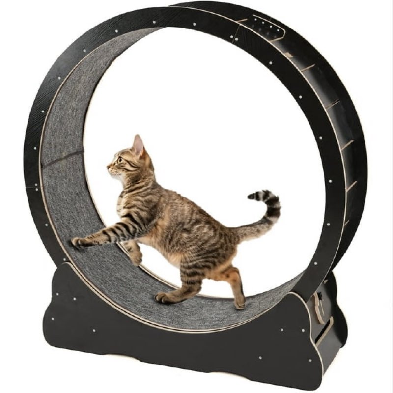 Cat Exercise Wheel Silent/Depressed Cats (Black) (similar to stock photo)