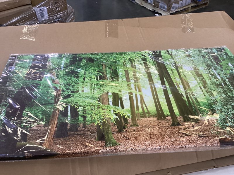 Condition photo showing New/Like New for Green Forest Wall Art for Living Room Bedroom Office Large Nature Canvas Wall Art Kitchen Pictures Modern Landscape Wall Decor Paintings Tree of Life Artwork Waterproof Ready to Hang - 20in * 40inch 40"L x 20"W Green Nature Forest