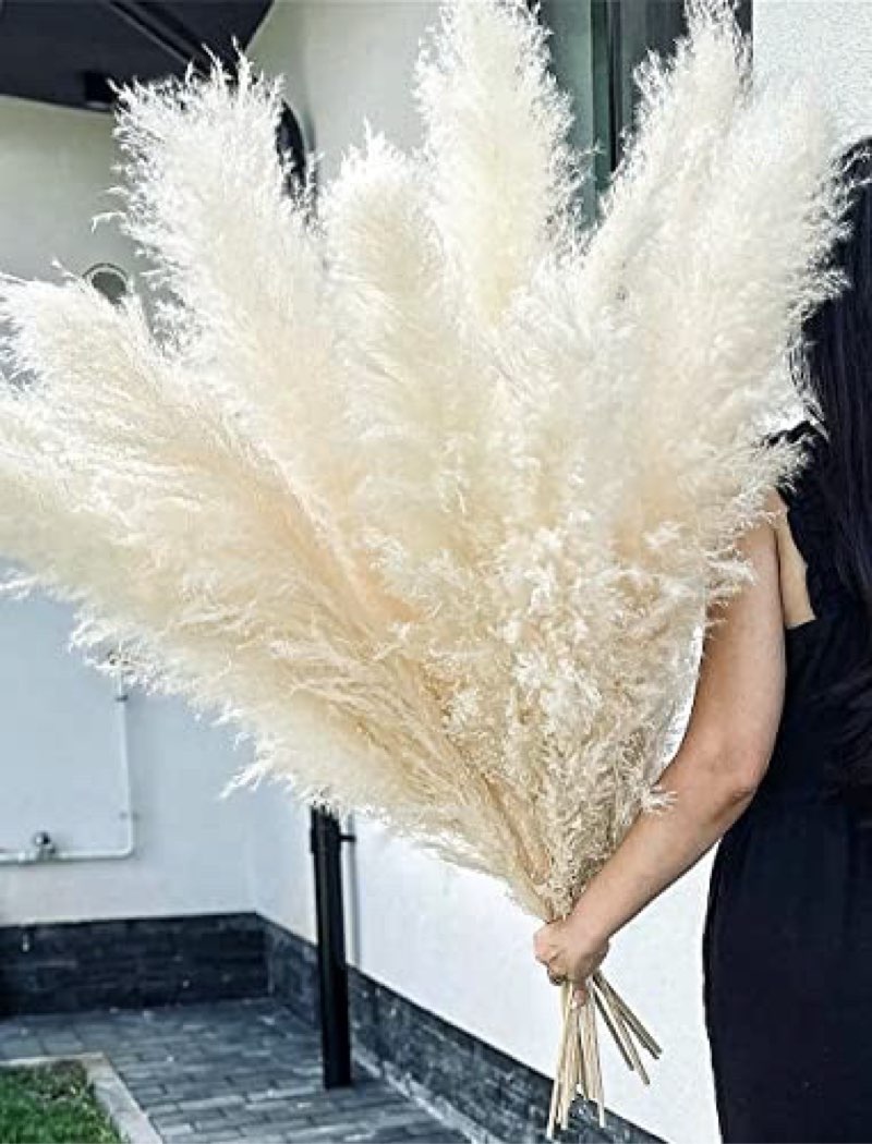 10 stems 46" inch white pampas grass decor tall, large pompas grass, boho