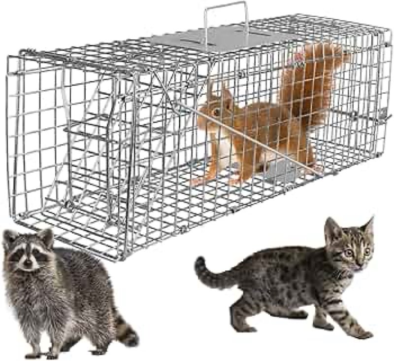 24" Humane Cat Trap for Stray Cats, Live Animal Cage for Feral Kittens, Possum, Raccoon, Rabbit, Arm