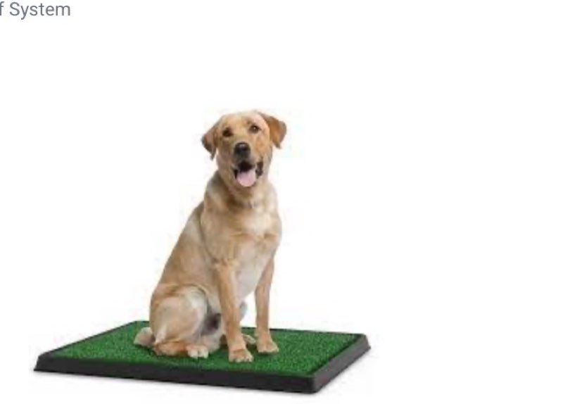 3 piece dog relief system