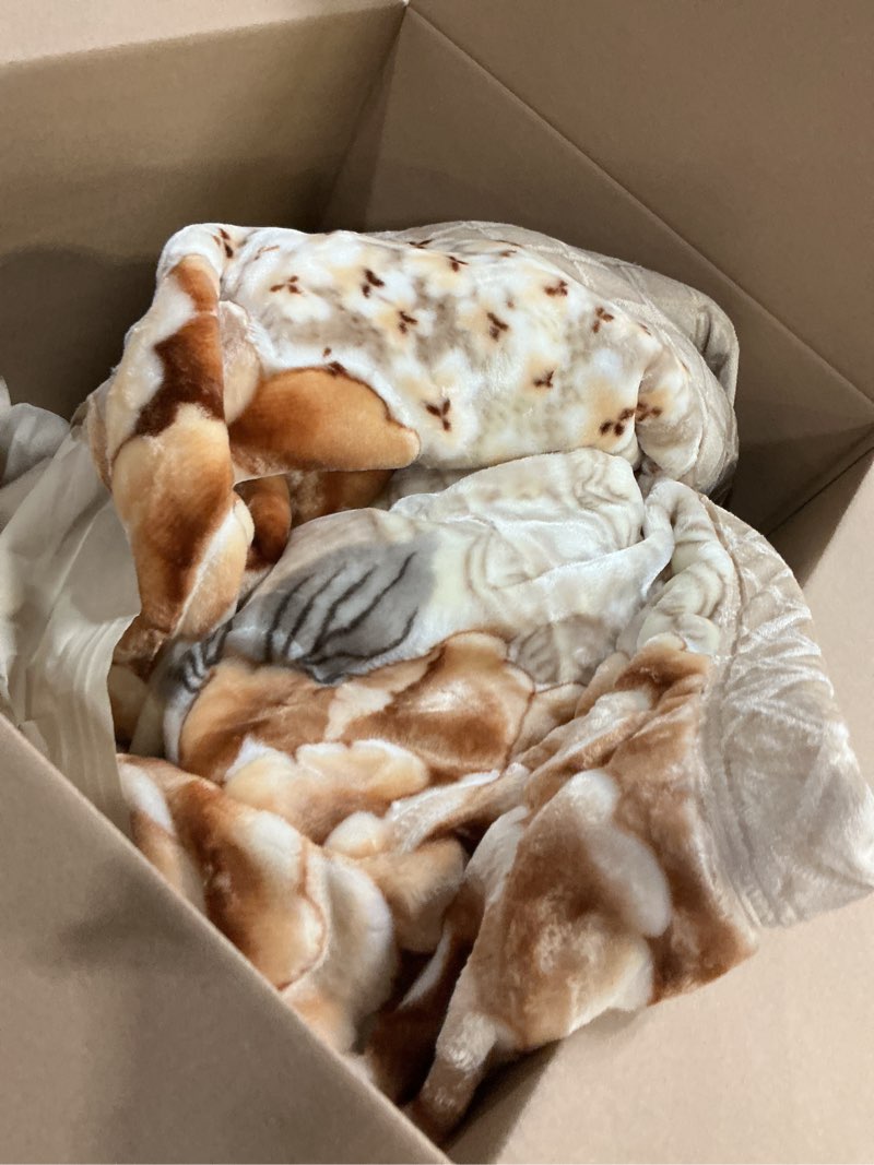 Condition photo showing Good Condition for Mink Blankets, Korean Heavy Fleece Plush 59x78 inch 2 Ply Mink Blankets with Peony Pattern 5.5lbs Full Size Soft Cozy Raschel Blanket for Autumn Winter (Khaki) 59*78 inch(5.5LB) Khaki