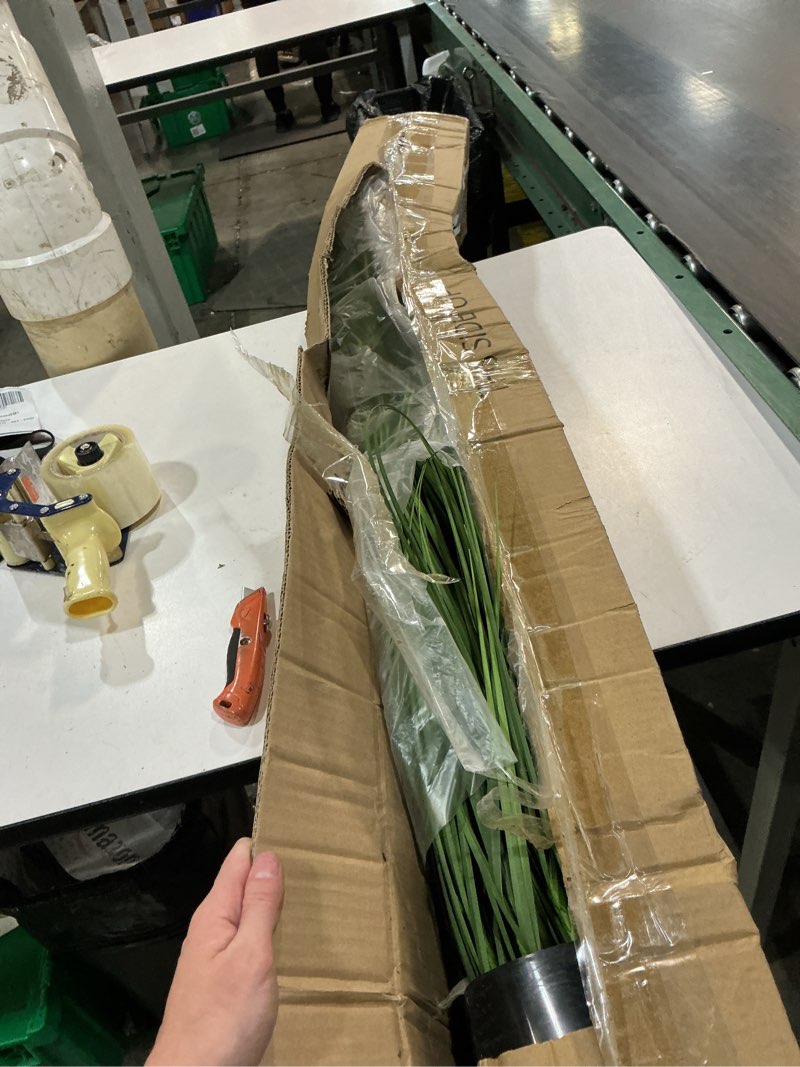 Condition photo showing Good Condition for 4ft 2-pack horsetail reed grass with white cockscomb flower, 48in tall indoor outdoor green onions fake plants in pot, home office decorative artificial plant & greenery, wedding décor 4ft - 2pack white