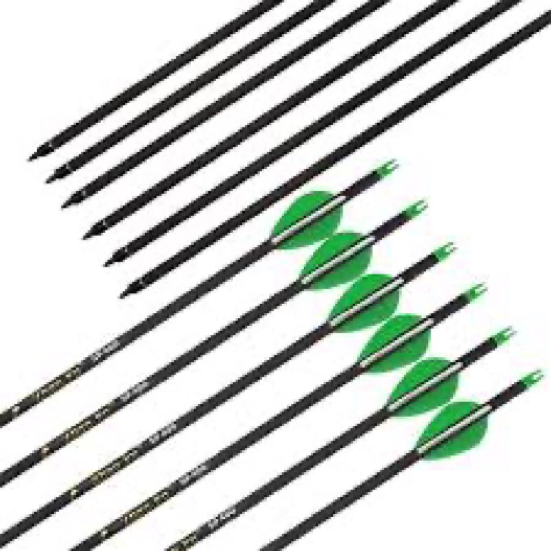 Zhao.fu sp 400 carbon arrows (11)