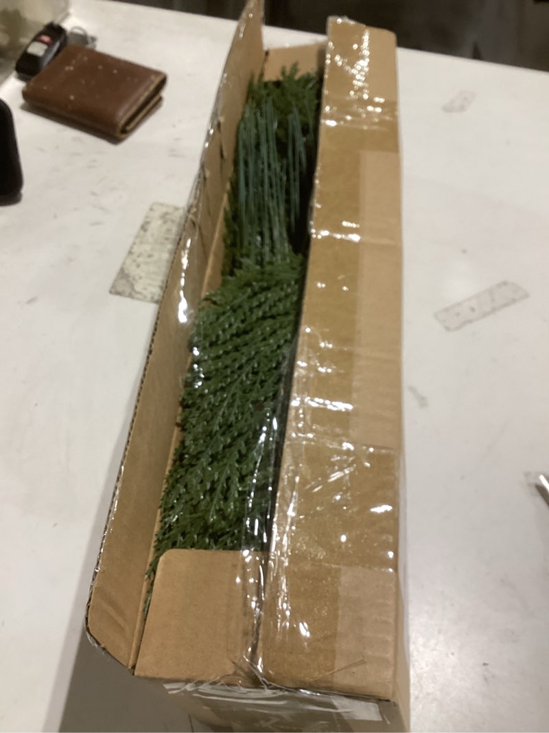 Condition photo showing Good Condition for Hananona Artificial Pine Branches, 80 Pcs Christmas Faux Cedar Stems, Artificial Faux Cedar Branches, Fake Christmas Greenery Pine Picks for Wreath Craft DIY Home Kitchen Decorations (80, Green) Green 80