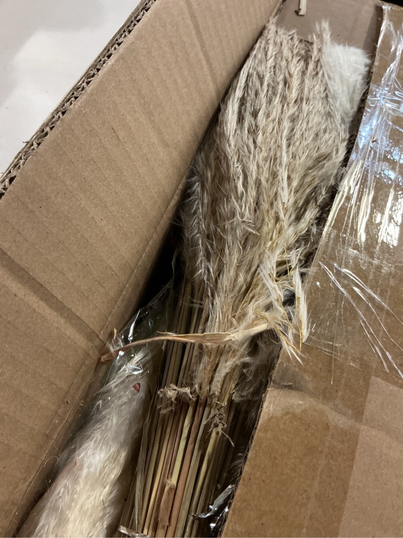 710pcs natural dried pampas grass decor, 9 types dried flowers for vase boho decor for living room, 