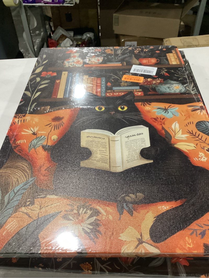 Condition photo showing New/Like New for framed funny black cat canvas wall art boho cat reading book picture wall decor cute animal poster print artwork for reading room living room office study room home decoration 16x24in canvas 16l''x24w''