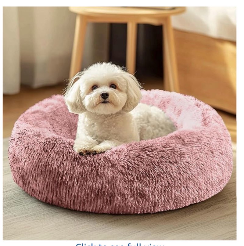 Morning Deals To Make You Smile!