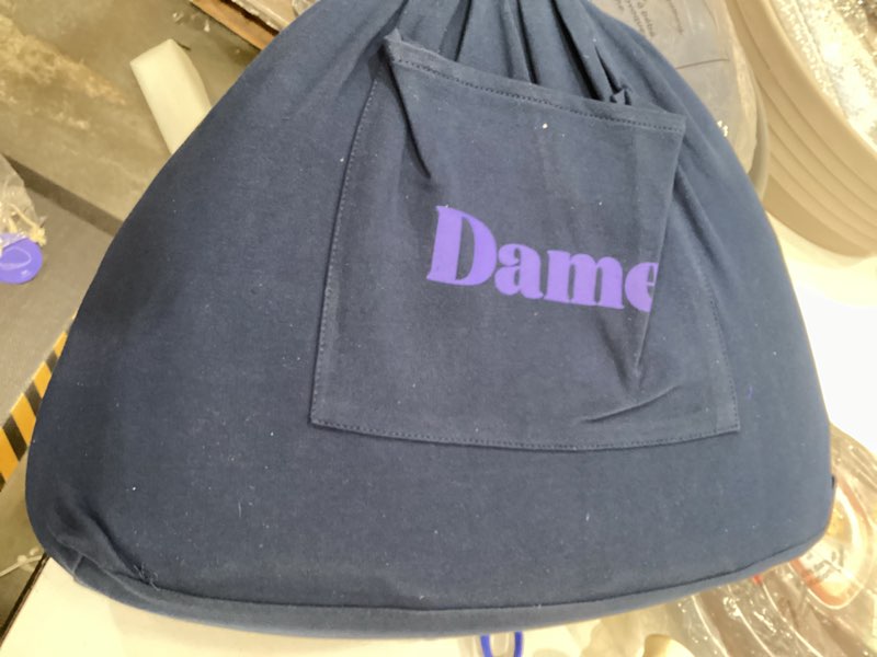 Condition photo showing Good Condition for dame pillow