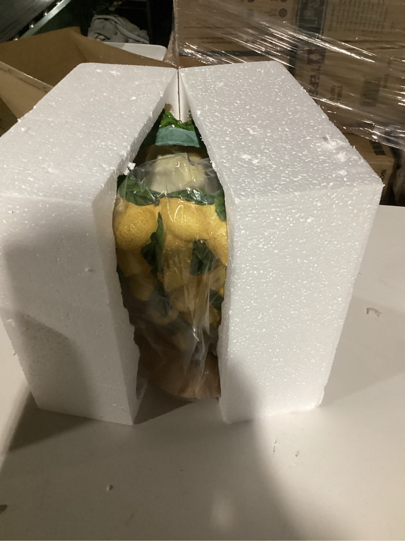 Condition photo showing Good Condition for DiliComing Face-Planters Pots Head Garden Decor - 12 Inch Planters Pot with Drainage Hole for Indoor and Outdoor 10.4 x 9.1 x 11.9 Inch Lemon Girl Flower Planter 12 Inch