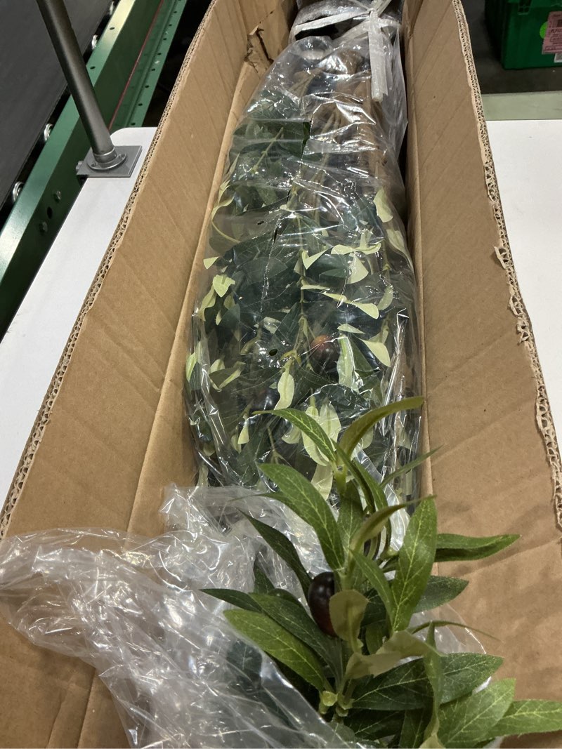 Condition photo showing Good Condition for Bellacat Faux Olive Tree 7ft?Olive Trees Artificial Indoor with Natural Wood Trunk and Realistic Leaves and Fruits. 7 Feet(84in) Fake Olive Tree for Home House Office Décor. 1 7ft