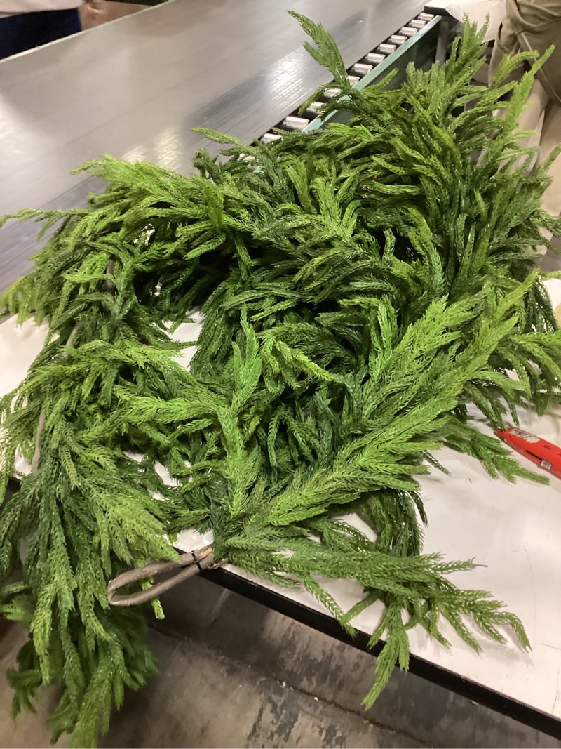 Condition photo showing As Is for 24 Inch Real Touch 2 Pcs Norfolk Pine Wreath Christmas Decorations for Front Door, Artificial Plants Green Christmas Wreath with Lights Home Decor, Xmas Decor for Mantel Wall Holiday Winter Decor