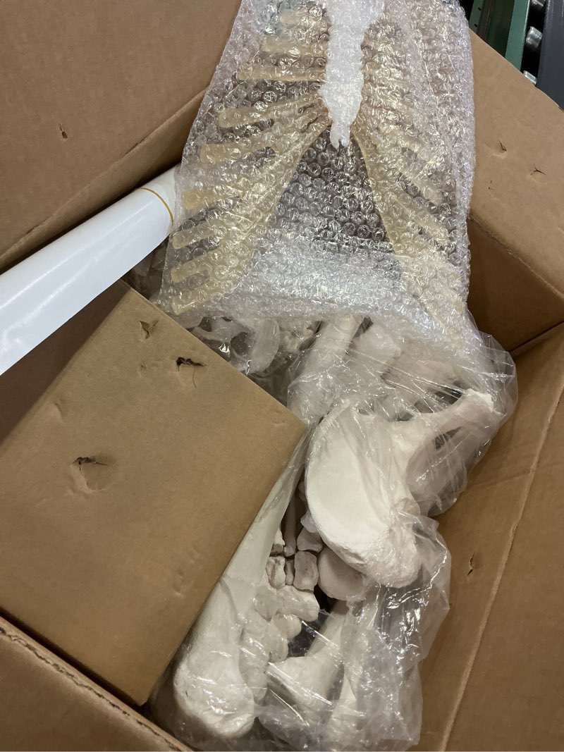 Condition photo showing Good Condition for Evotech Disarticulated Human Skeleton Model For Anatomy 67 inch High, Full Size Skeleton Models with Skull, Spine, Bones, Articulated Hand & Foot, for Anatomy Medical Learning