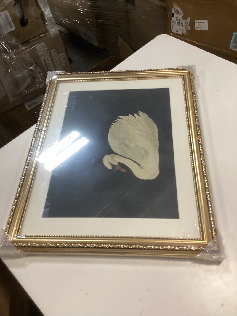 Condition photo showing Good Condition for viyyiea gold framed wall art canvas print home decor vintage swan decoration grace swan art painting pictures rustic bathroom wall decor animal farmhouse artwork for living room bedroom office 11x14in zwaan 14"l x 11"w