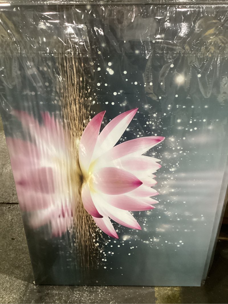 Condition photo showing New/Like New for DOARTDO Lotus Flower Canvas Print Zen Wall Art Spa Pictures Decor Floral Blooming Painting Yoga room Bathroom Bedroom Decor Frame (Lotus Flower, 28x42inch (70x105cm)) 28x42inch (70x105cm) Lotus Flower