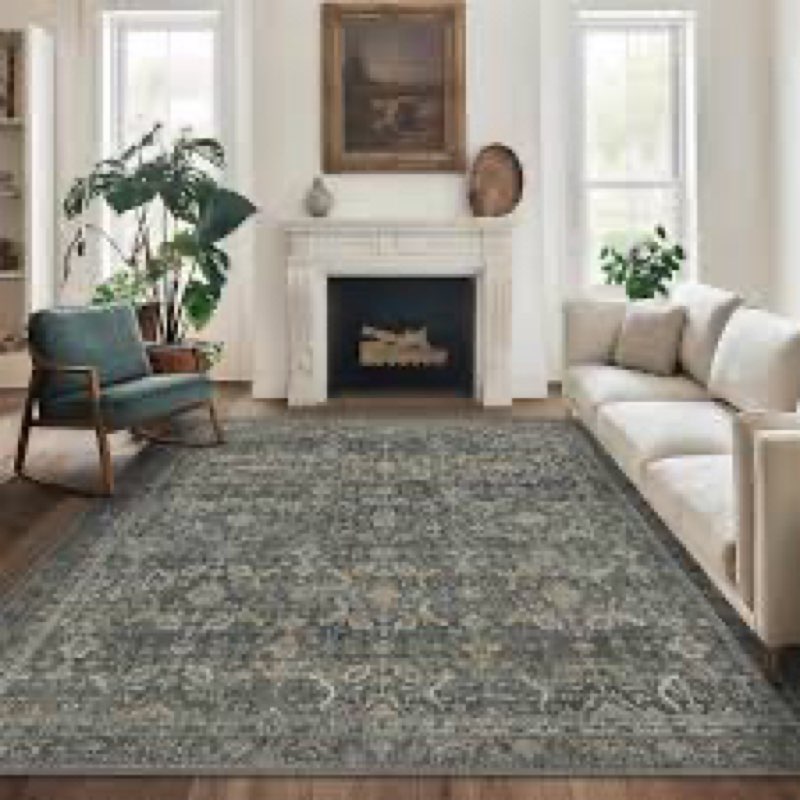 Machine Washable Living Room Rug: 8x10 Area Rugs for Bedroom Vintage Stain Resistant Non Slip Low Pi