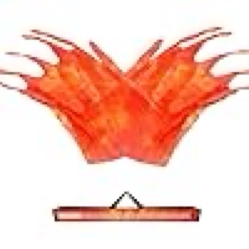 (Similar)Baisdan 55'' Double Layered Worship Flags for Dance Church, Praise Dance Flags for Worship, Praise Flag with Flexible Rod and Storage Bag, Set of 2, Orange-Red