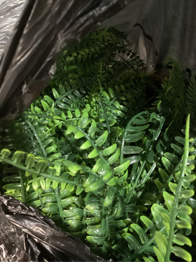 Condition photo showing As Is for khoyime artificial hanging plants with basket 2pcs fake boston fern baskets, outdoor faux greenery stems hanging decor uv resistant indoor outside decorations for home garden porch balcony patio yard green boston fern