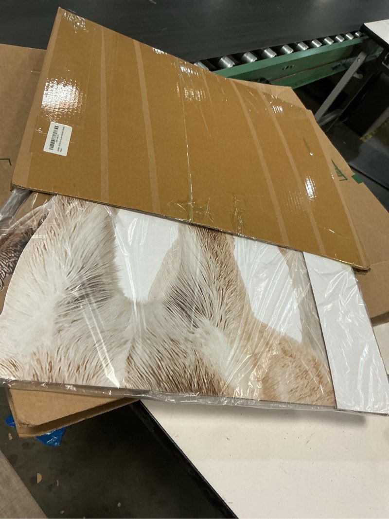 Condition photo showing Good Condition for Donkey - Life Size Cardboard Cutout Standup People with Support Standee | Animals